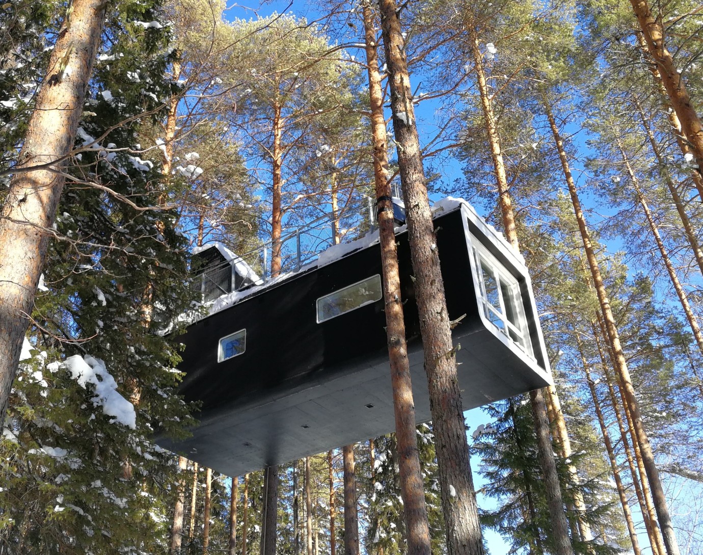 Treehotel - "The Cabin"