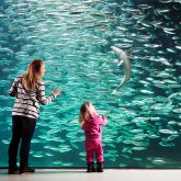2D: Aquarium Atlanterhavsparken und Aksla