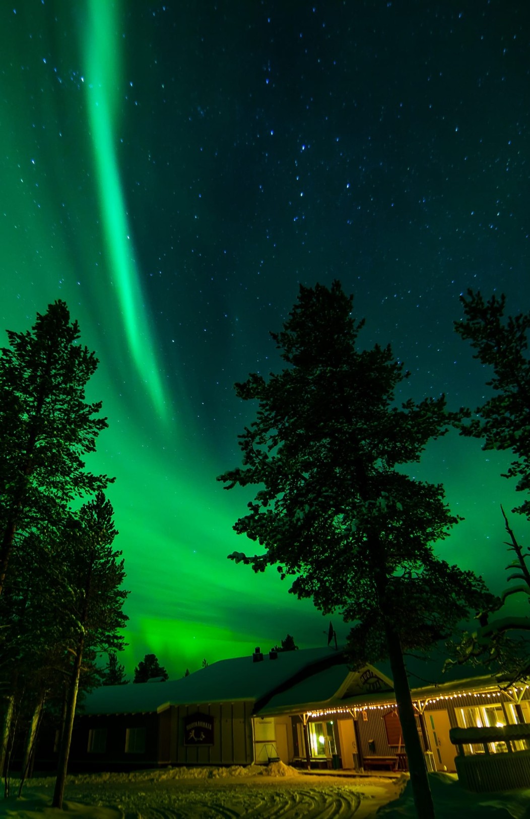 Muotka Nordlichter & Wildnisabenteuer 