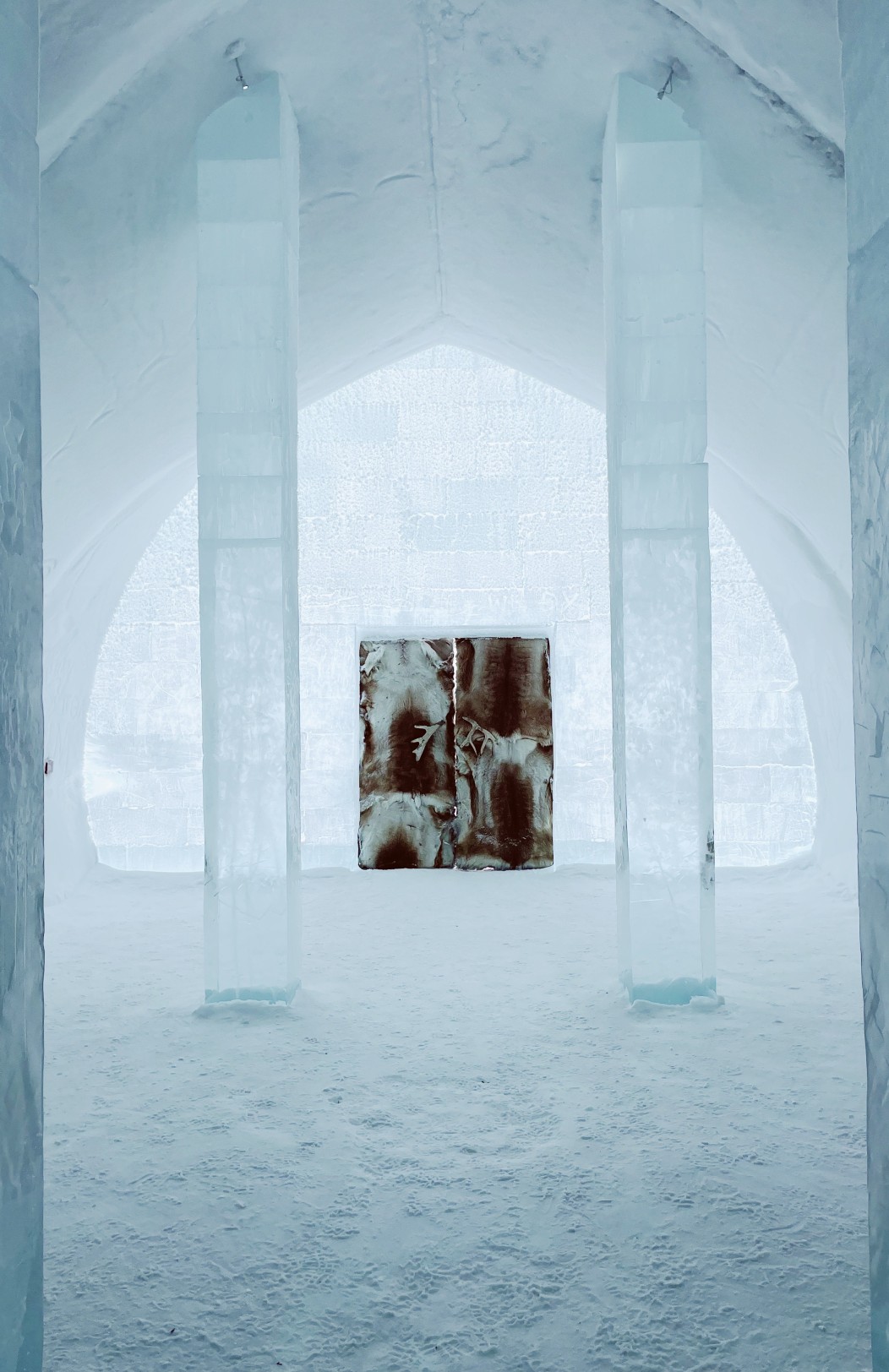 Ein unvergessliches arktisches Abenteuer