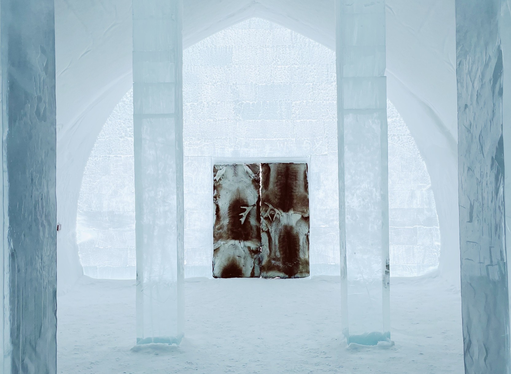 Ein unvergessliches arktisches Abenteuer