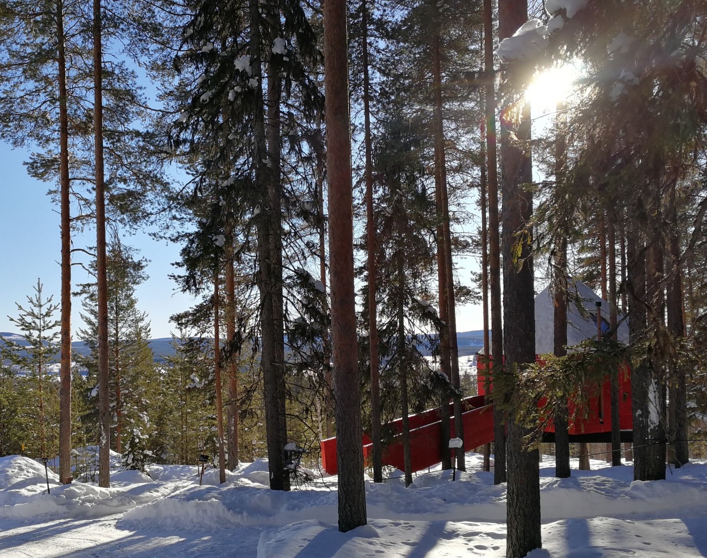 Treehotel - "Blue Cone"