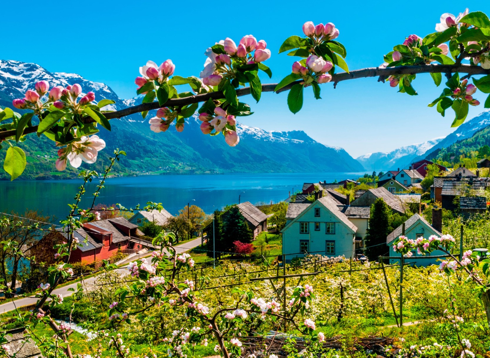 Norwegische Fjorde & Gletscher