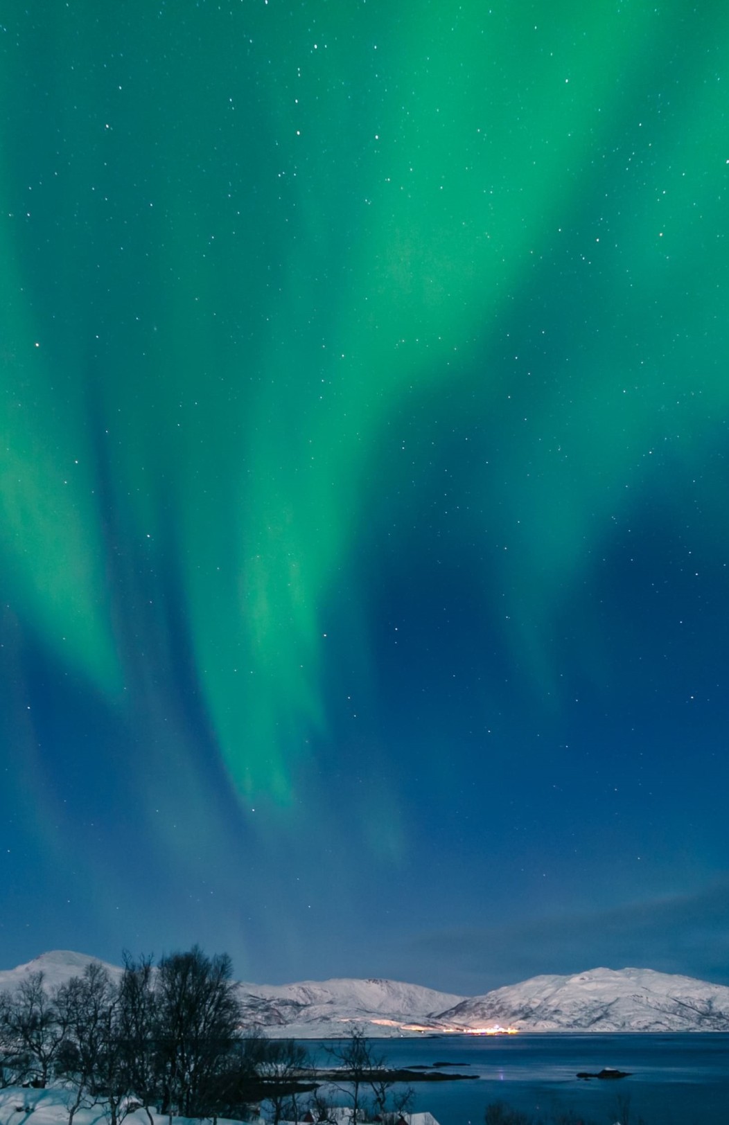 Wildtiersafari & Nordlichter in Tromsø