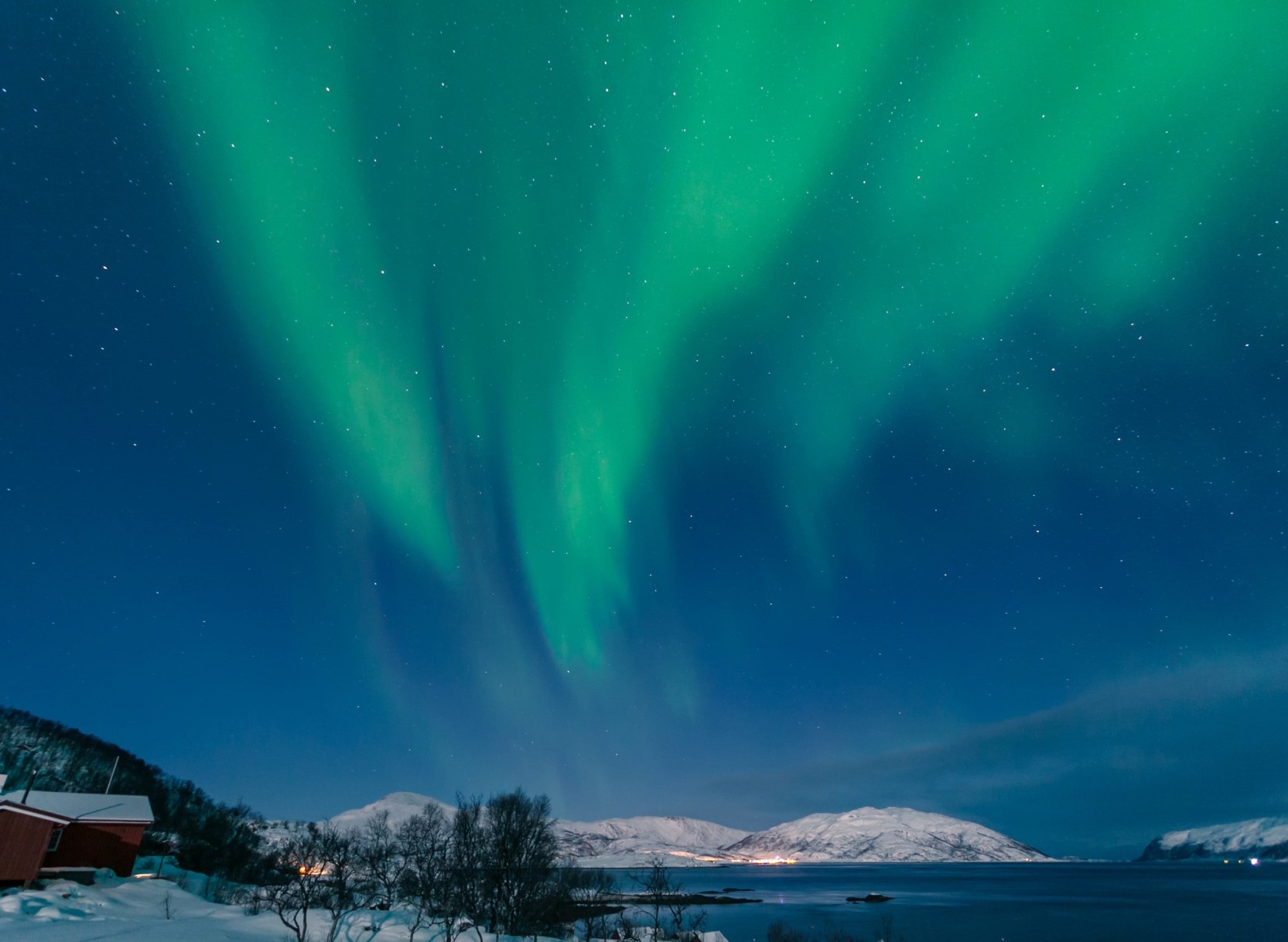 Wildtiersafari & Nordlichter in Tromsø