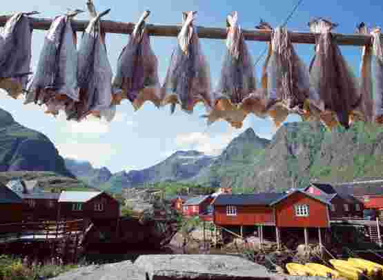 Inselgruppe Lofoten entdecken