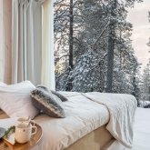 TreeHouse Suite im Arctic TreeHouse Hotel