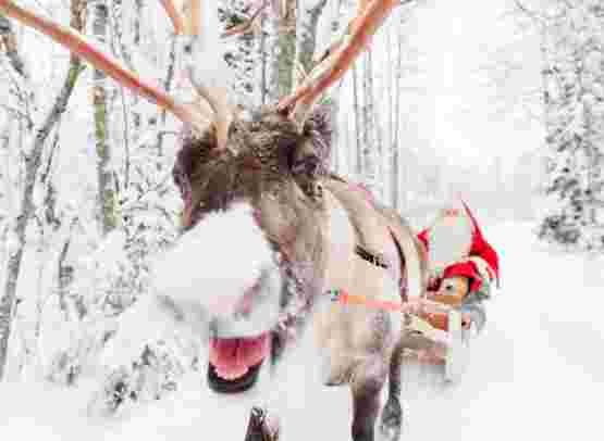 Weihnachtsmann-Abenteuer in Rovaniemi