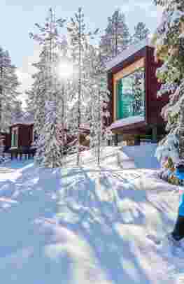 Arctic TreeHouse & Nordlichter