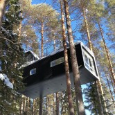 The Cabin, die beliebteste Unterkunft im Baumhotel in Nordschweden.