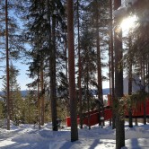 Das Blue Cone, eines der sieben Zimmer des aufregenden Treehotel im Norden Schwedens.