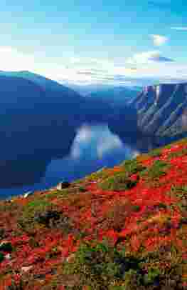 Abenteuer Sognefjord