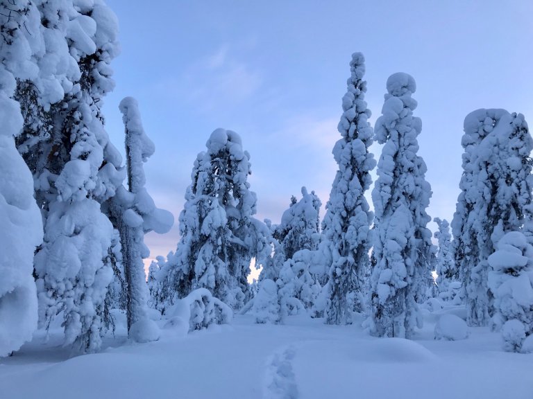 Lapland winter landscape
