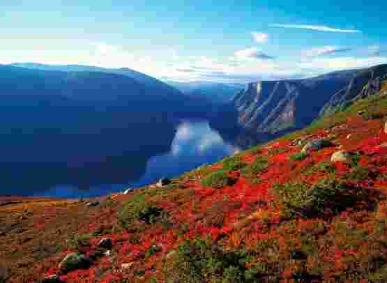 Abenteuer Sognefjord