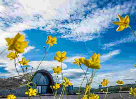 Schweden Eishotel Sommer- & Herbst-Erlebnis