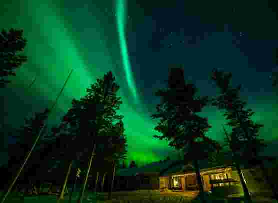 Nordlichter & Wildnisabenteuer Muotka