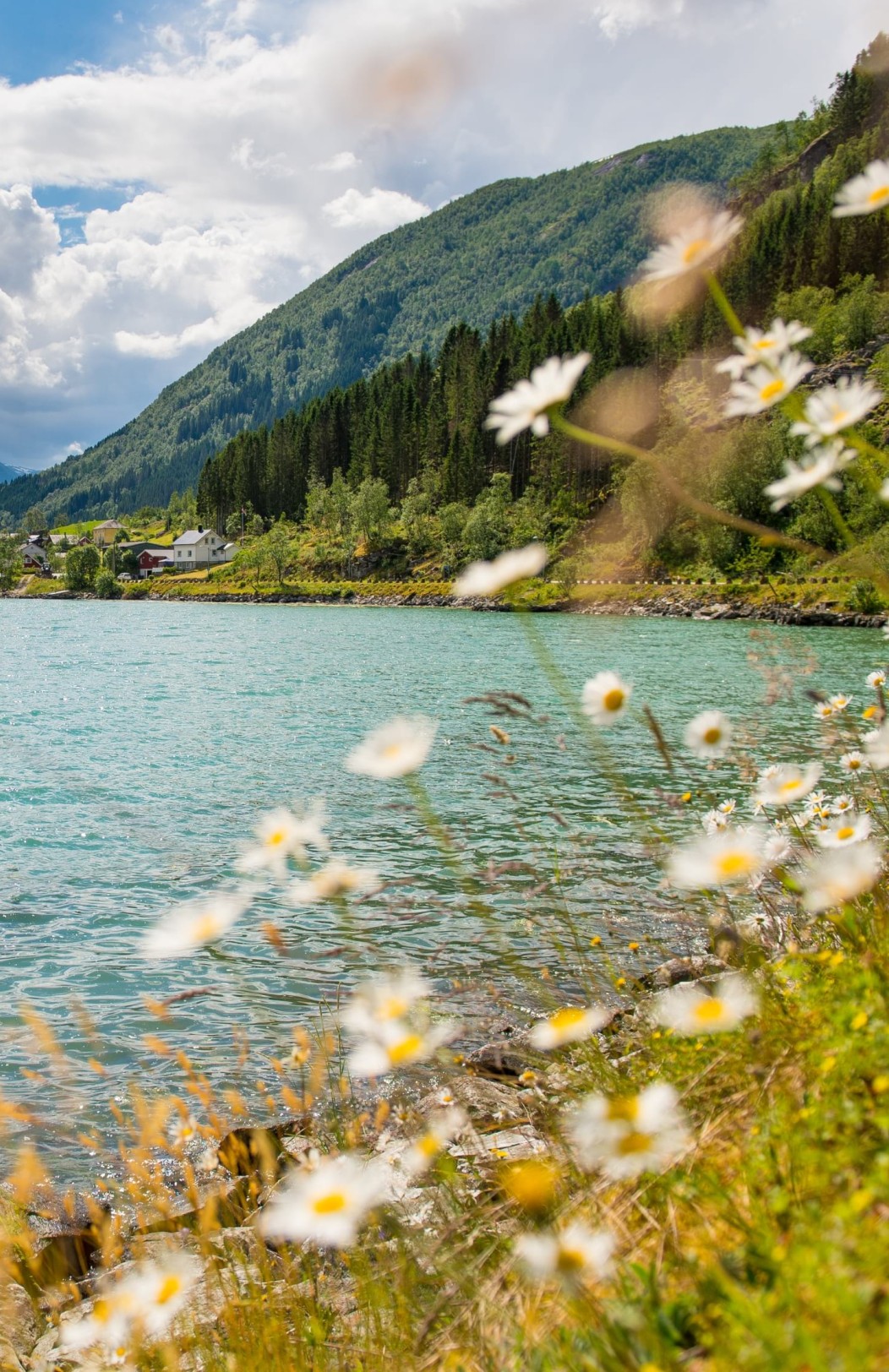 Oslo, Bergen & Sognefjord-Erlebnis