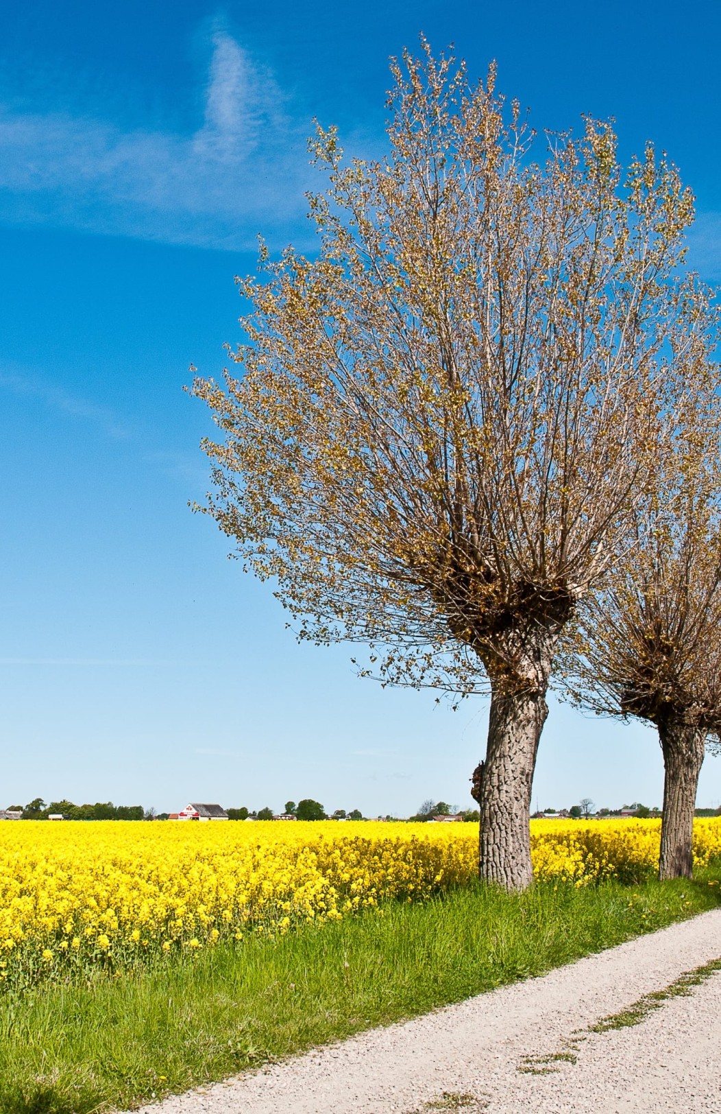 Kopenhagen & Schweden entdecken