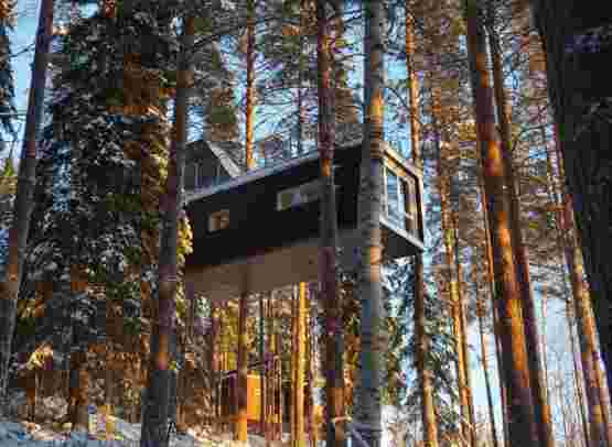 Treehotel, Nordlichter & Tromsø