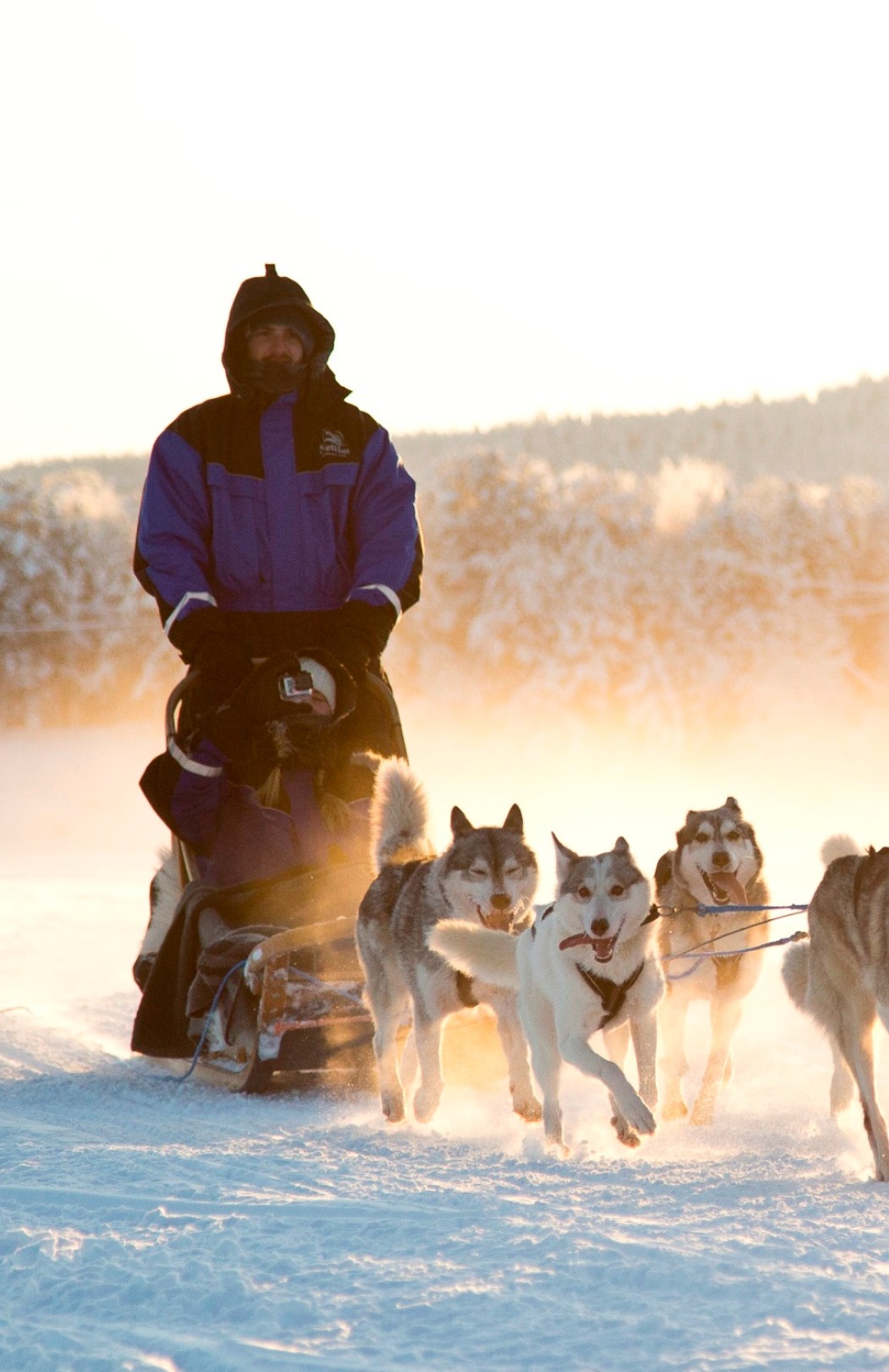 Nordlichter & Wildnis-Erlebnis Inari